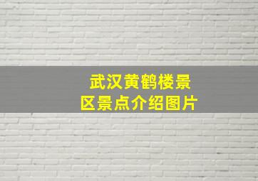 武汉黄鹤楼景区景点介绍图片