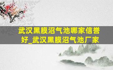 武汉黑膜沼气池哪家信誉好_武汉黑膜沼气池厂家