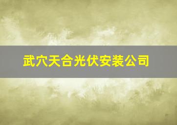 武穴天合光伏安装公司