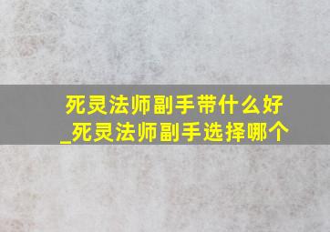 死灵法师副手带什么好_死灵法师副手选择哪个