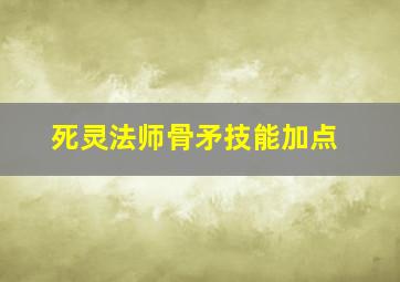 死灵法师骨矛技能加点