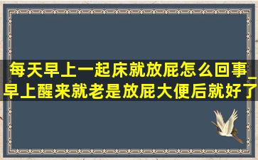 每天早上一起床就放屁怎么回事_早上醒来就老是放屁大便后就好了