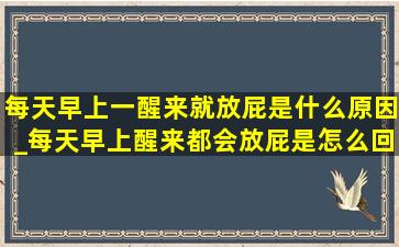 每天早上一醒来就放屁是什么原因_每天早上醒来都会放屁是怎么回事