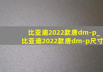 比亚迪2022款唐dm-p_比亚迪2022款唐dm-p尺寸