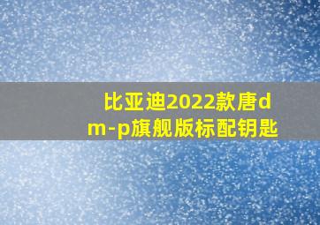 比亚迪2022款唐dm-p旗舰版标配钥匙