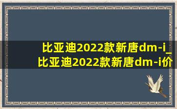 比亚迪2022款新唐dm-i_比亚迪2022款新唐dm-i价位