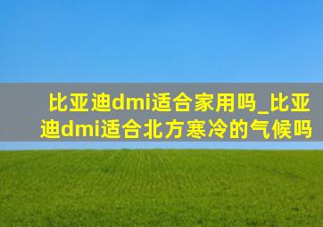 比亚迪dmi适合家用吗_比亚迪dmi适合北方寒冷的气候吗