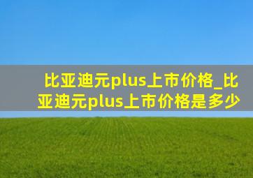 比亚迪元plus上市价格_比亚迪元plus上市价格是多少