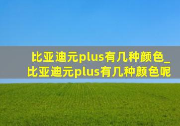 比亚迪元plus有几种颜色_比亚迪元plus有几种颜色呢