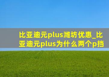 比亚迪元plus潍坊优惠_比亚迪元plus为什么两个p挡