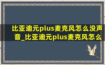 比亚迪元plus麦克风怎么没声音_比亚迪元plus麦克风怎么配对不上