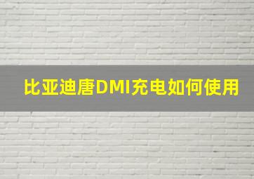 比亚迪唐DMI充电如何使用