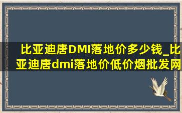 比亚迪唐DMI落地价多少钱_比亚迪唐dmi落地价(低价烟批发网)多少钱