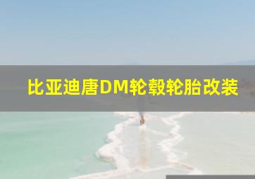 比亚迪唐DM轮毂轮胎改装