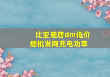 比亚迪唐dm(低价烟批发网)充电功率