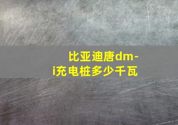 比亚迪唐dm-i充电桩多少千瓦