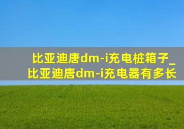 比亚迪唐dm-i充电桩箱子_比亚迪唐dm-i充电器有多长