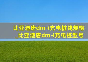 比亚迪唐dm-i充电桩线规格_比亚迪唐dm-i充电桩型号