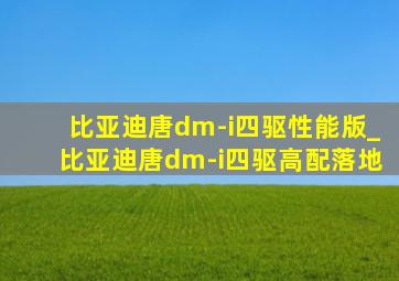 比亚迪唐dm-i四驱性能版_比亚迪唐dm-i四驱高配落地