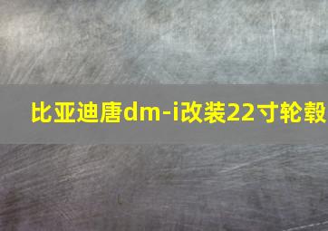 比亚迪唐dm-i改装22寸轮毂