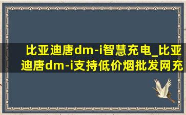 比亚迪唐dm-i智慧充电_比亚迪唐dm-i支持(低价烟批发网)充电功率