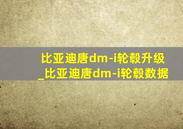 比亚迪唐dm-i轮毂升级_比亚迪唐dm-i轮毂数据