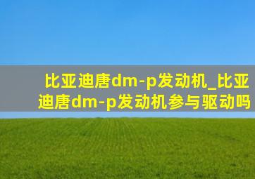 比亚迪唐dm-p发动机_比亚迪唐dm-p发动机参与驱动吗