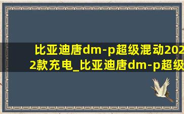 比亚迪唐dm-p超级混动2022款充电_比亚迪唐dm-p超级混动2022款西藏