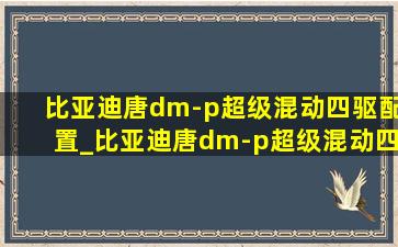 比亚迪唐dm-p超级混动四驱配置_比亚迪唐dm-p超级混动四驱配置表