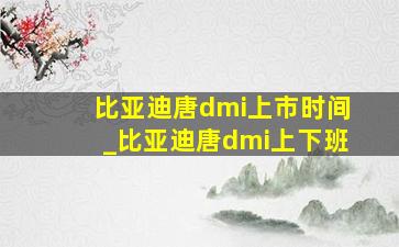 比亚迪唐dmi上市时间_比亚迪唐dmi上下班