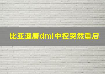 比亚迪唐dmi中控突然重启