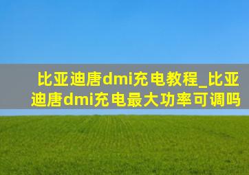 比亚迪唐dmi充电教程_比亚迪唐dmi充电最大功率可调吗