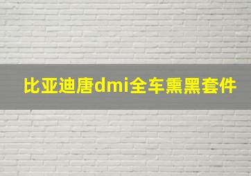 比亚迪唐dmi全车熏黑套件