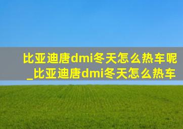 比亚迪唐dmi冬天怎么热车呢_比亚迪唐dmi冬天怎么热车