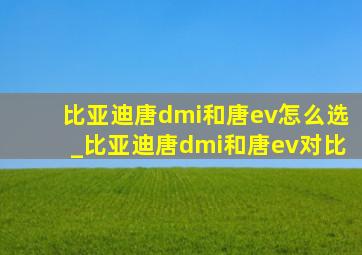 比亚迪唐dmi和唐ev怎么选_比亚迪唐dmi和唐ev对比