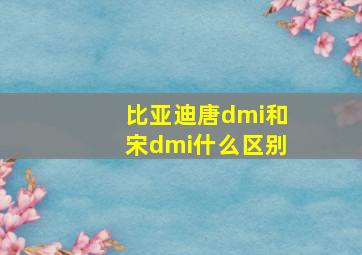 比亚迪唐dmi和宋dmi什么区别