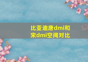 比亚迪唐dmi和宋dmi空间对比