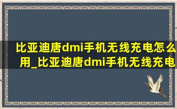 比亚迪唐dmi手机无线充电怎么用_比亚迪唐dmi手机无线充电