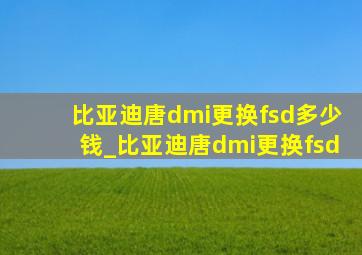 比亚迪唐dmi更换fsd多少钱_比亚迪唐dmi更换fsd