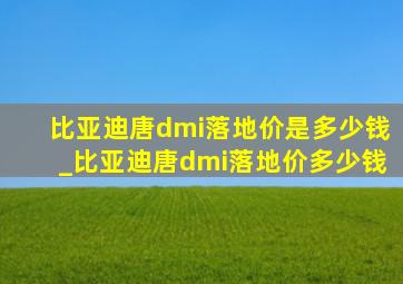 比亚迪唐dmi落地价是多少钱_比亚迪唐dmi落地价多少钱