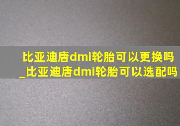 比亚迪唐dmi轮胎可以更换吗_比亚迪唐dmi轮胎可以选配吗