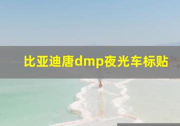 比亚迪唐dmp夜光车标贴