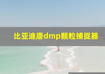 比亚迪唐dmp颗粒捕捉器