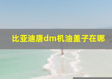 比亚迪唐dm机油盖子在哪