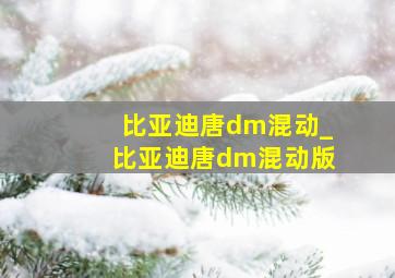 比亚迪唐dm混动_比亚迪唐dm混动版