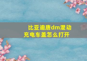 比亚迪唐dm混动充电车盖怎么打开