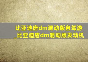 比亚迪唐dm混动版自驾游_比亚迪唐dm混动版发动机