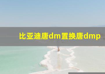 比亚迪唐dm置换唐dmp