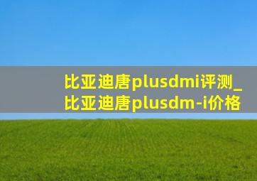 比亚迪唐plusdmi评测_比亚迪唐plusdm-i价格