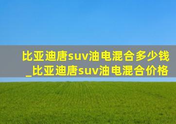 比亚迪唐suv油电混合多少钱_比亚迪唐suv油电混合价格